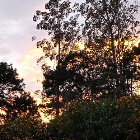 Komori House Bed & Breakfast Da Lat Dış mekan fotoğraf