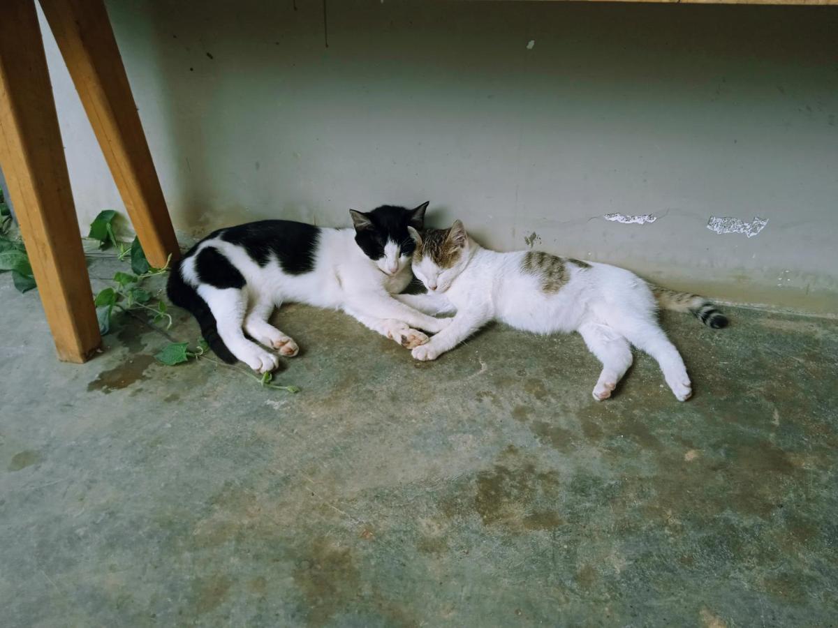 Komori House Bed & Breakfast Da Lat Dış mekan fotoğraf