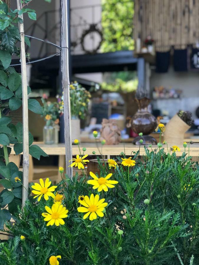 Komori House Bed & Breakfast Da Lat Dış mekan fotoğraf